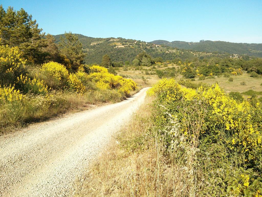 Forte Di Tregognano Chiaveretto Quarto foto